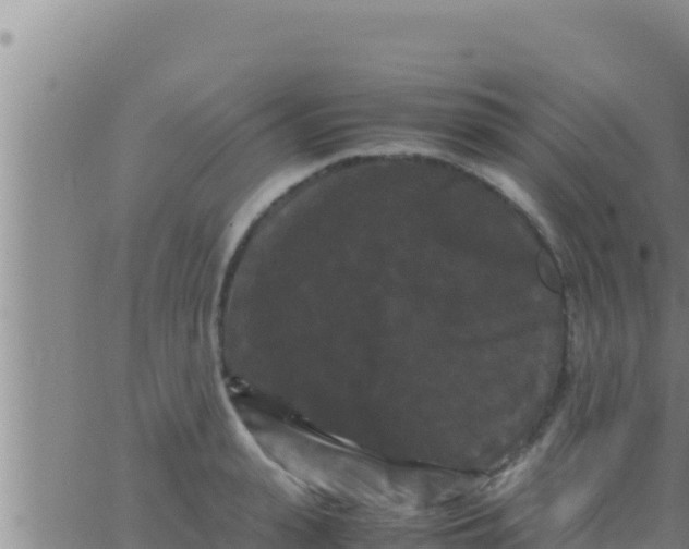 X0000062830943200601271947