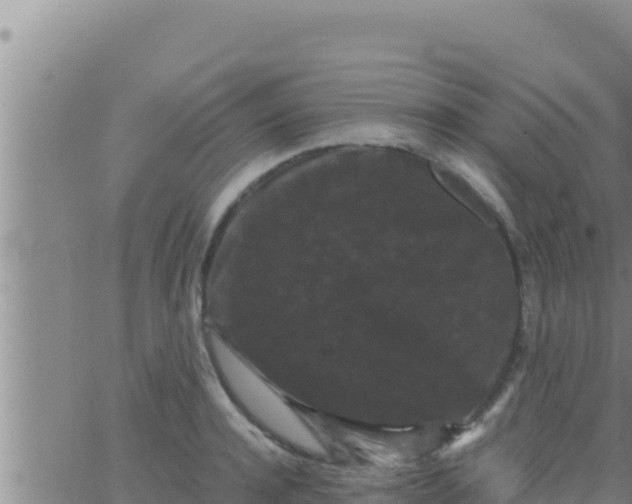 X0000062830944200601271948