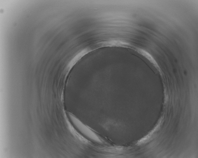 X0000062830946200601271948