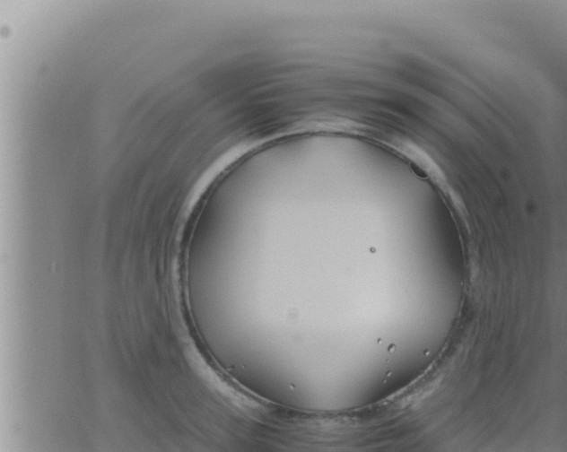 X0000062830947200601271948