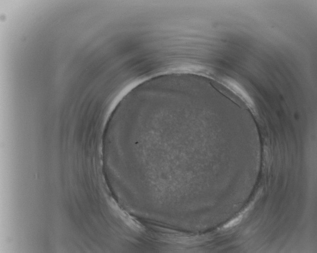 X0000062830948200601271948