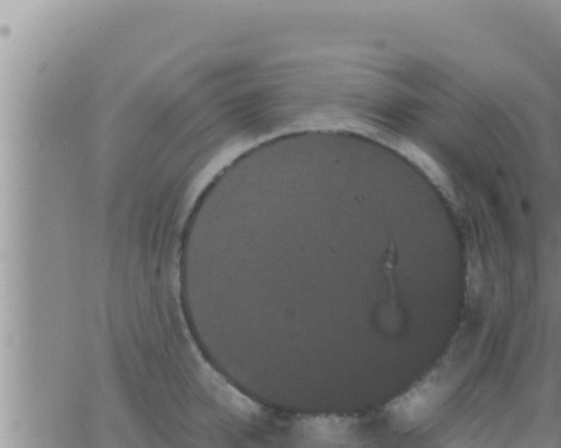 X0000062830950200601271948