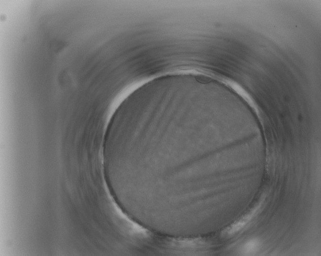 X0000062830951200601271948