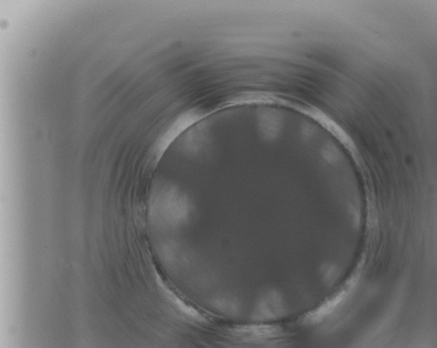 X0000062830953200601271948