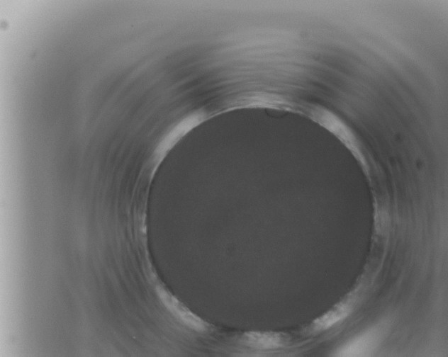 X0000062830954200601271948