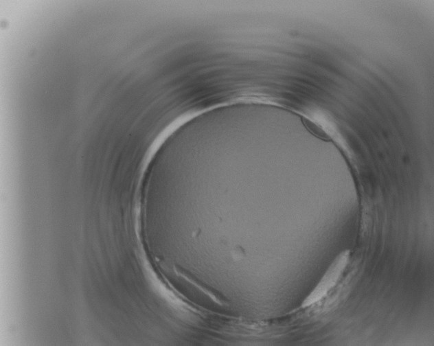 X0000062830955200601271948