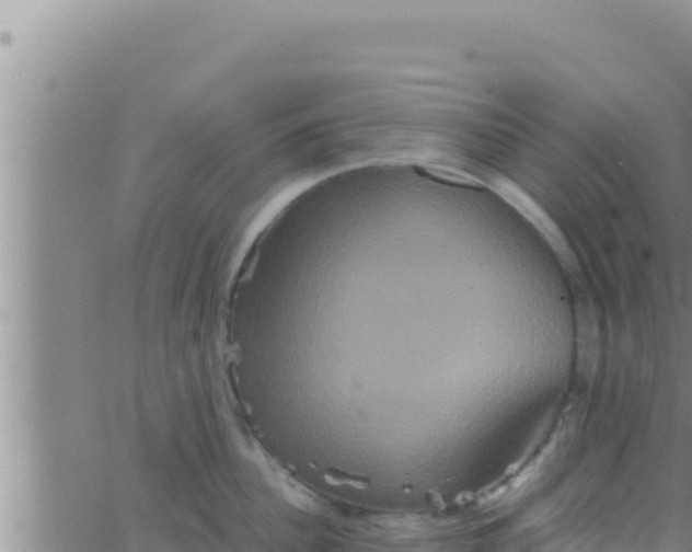 X0000062830956200601271948