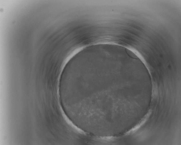 X0000062830957200601271948