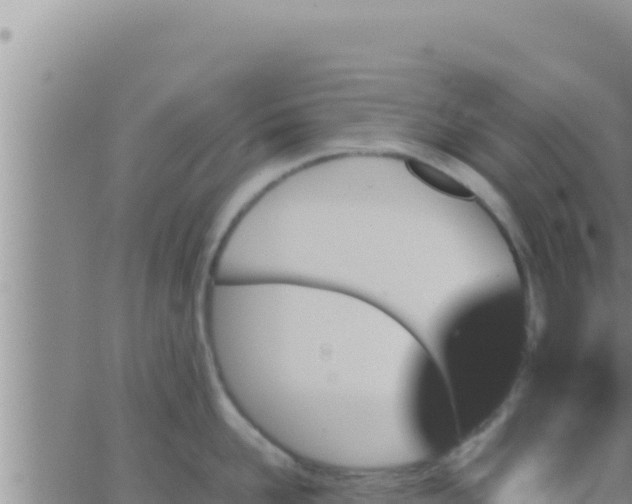 X0000062830958200601271948