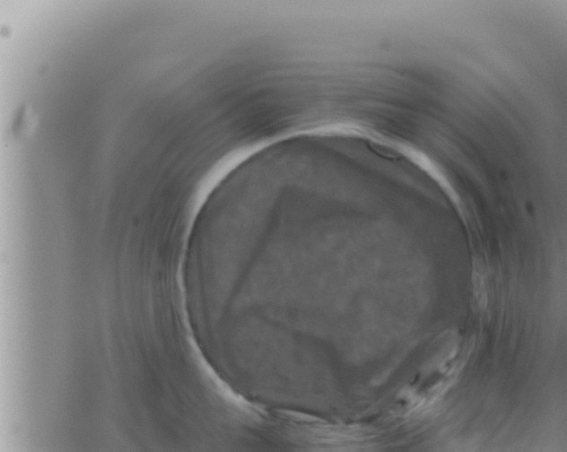 X0000062830959200601271948