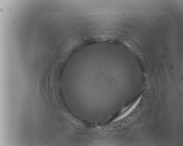 X0000062830961200601271947