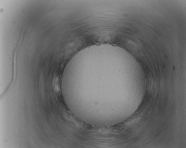 X0000062830962200601271947