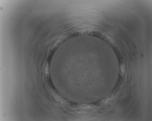 X0000062830963200601271947