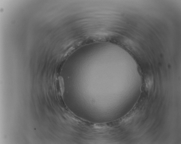 X0000062830964200601271947