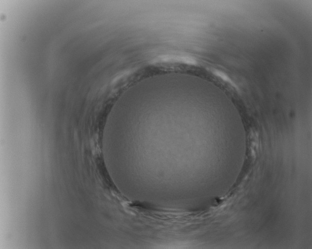 X0000062830965200601271947