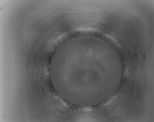 X0000062830966200601271947