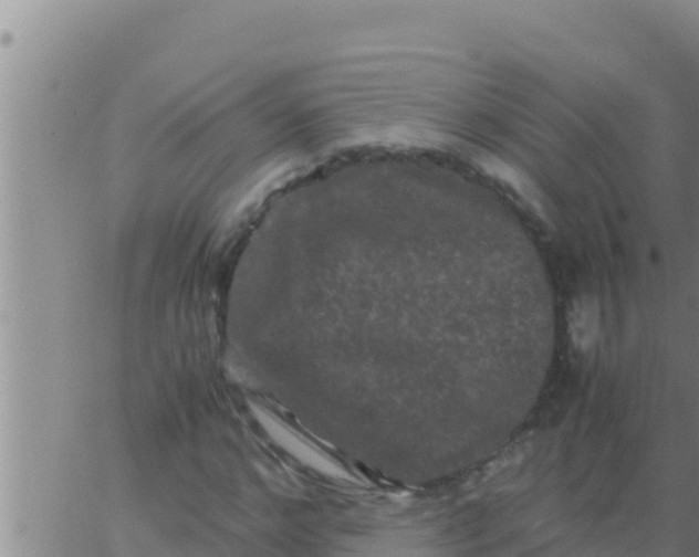 X0000062830968200601271947