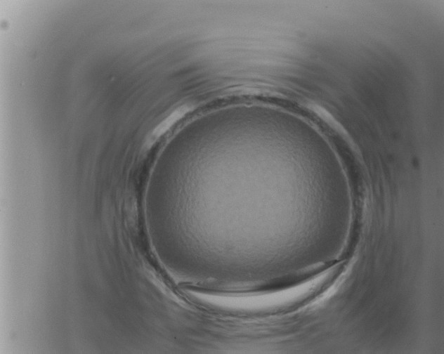 X0000062830969200601271947