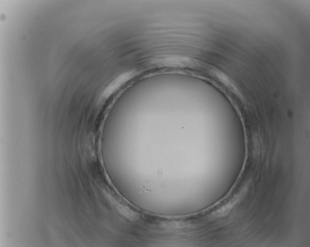 X0000062830970200601271947