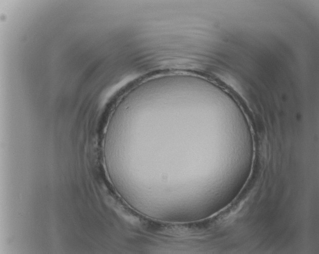 X0000062830971200601271947