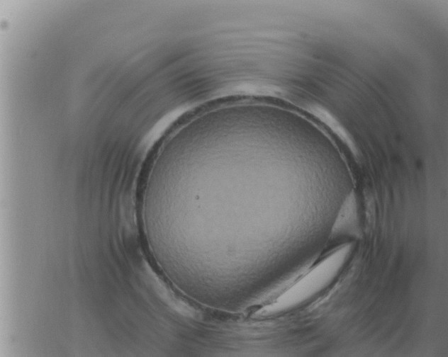 X0000062830972200601271947