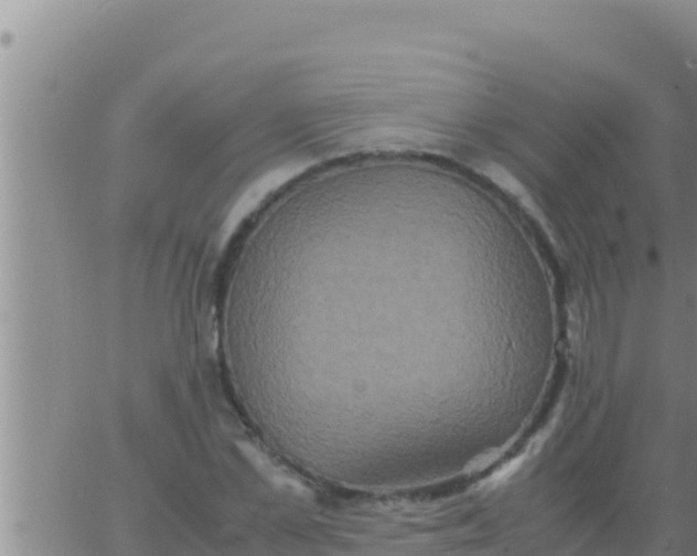 X0000062830973200601271947