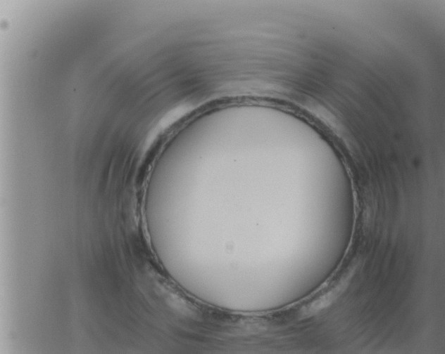 X0000062830974200601271947