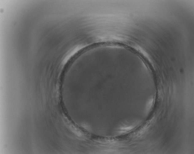 X0000062830975200601271947