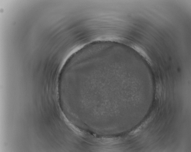 X0000062830976200601271947