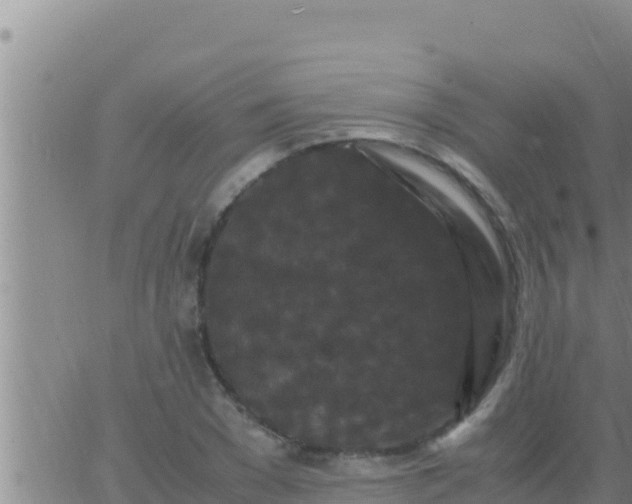 X0000062830977200601271947