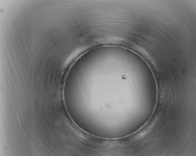 X0000062830978200601271947