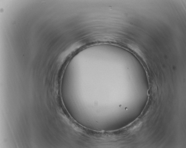 X0000062830979200601271947