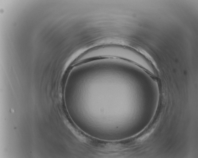 X0000062830981200601271947