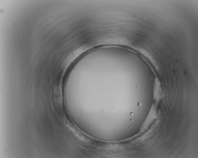 X0000062830982200601271947