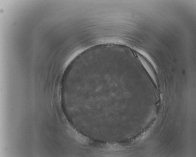 X0000062830983200601271947