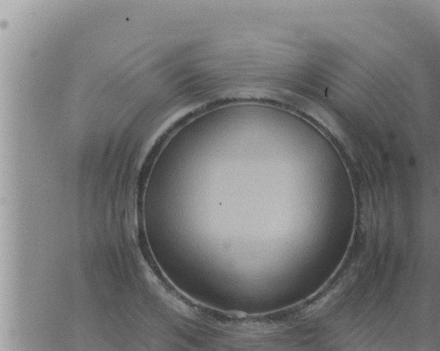 X0000062830984200601271947