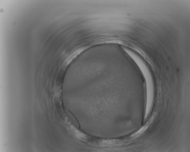 X0000062830985200601271947