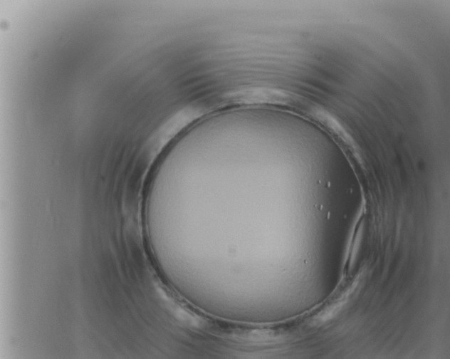 X0000062830986200601271947