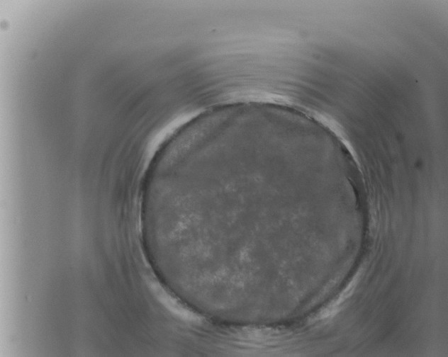 X0000062830987200601271947