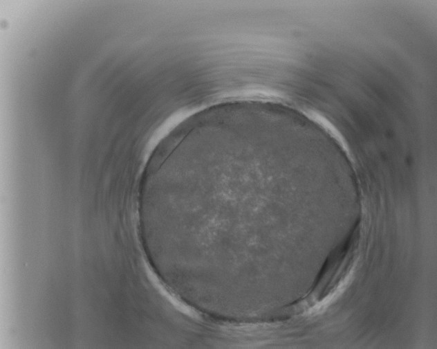 X0000062830989200601271947