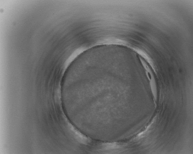 X0000062830990200601271947