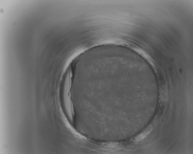 X0000062830991200601271946