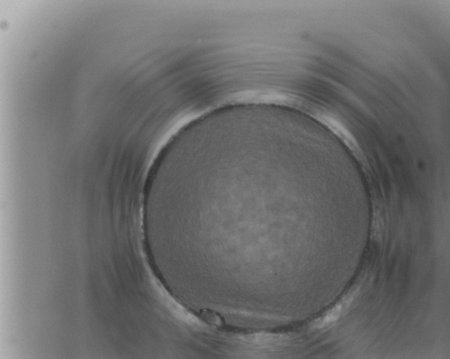 X0000062830992200601271946