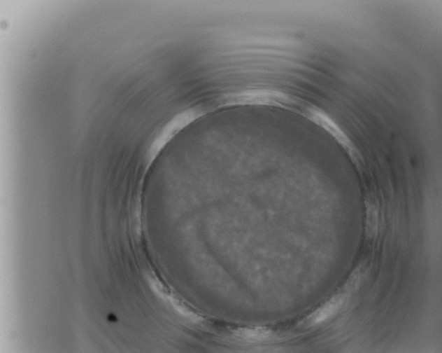 X0000062830994200601271946