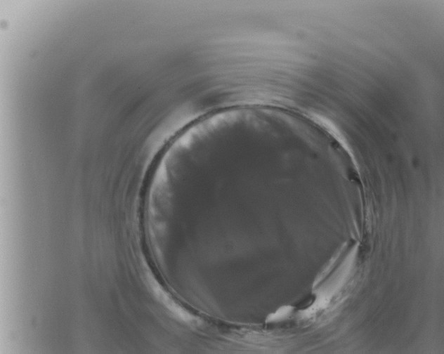 X0000062830995200601271946