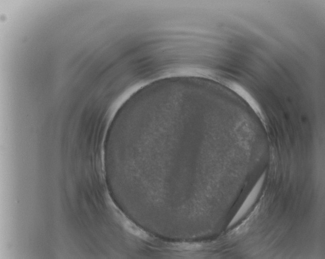 X0000062830996200601271946