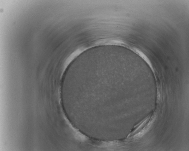 X0000062830997200601271946