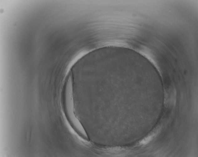 X0000062830999200601271946