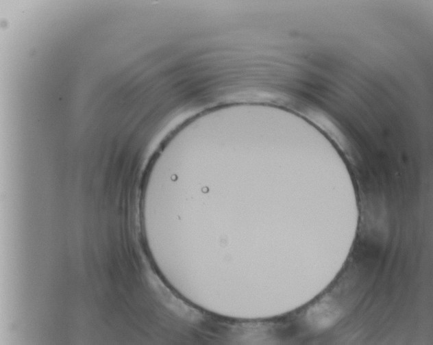 X0000062831000200601271946