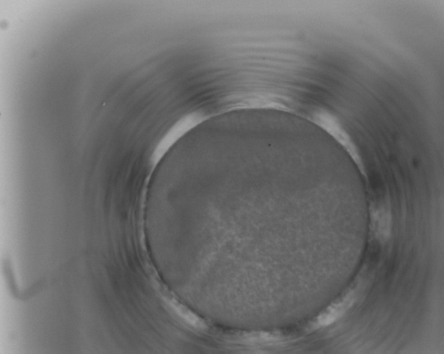 X0000062831002200601271946